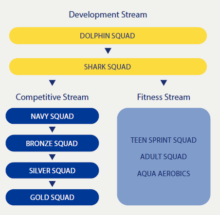 LN Swimming streams 206