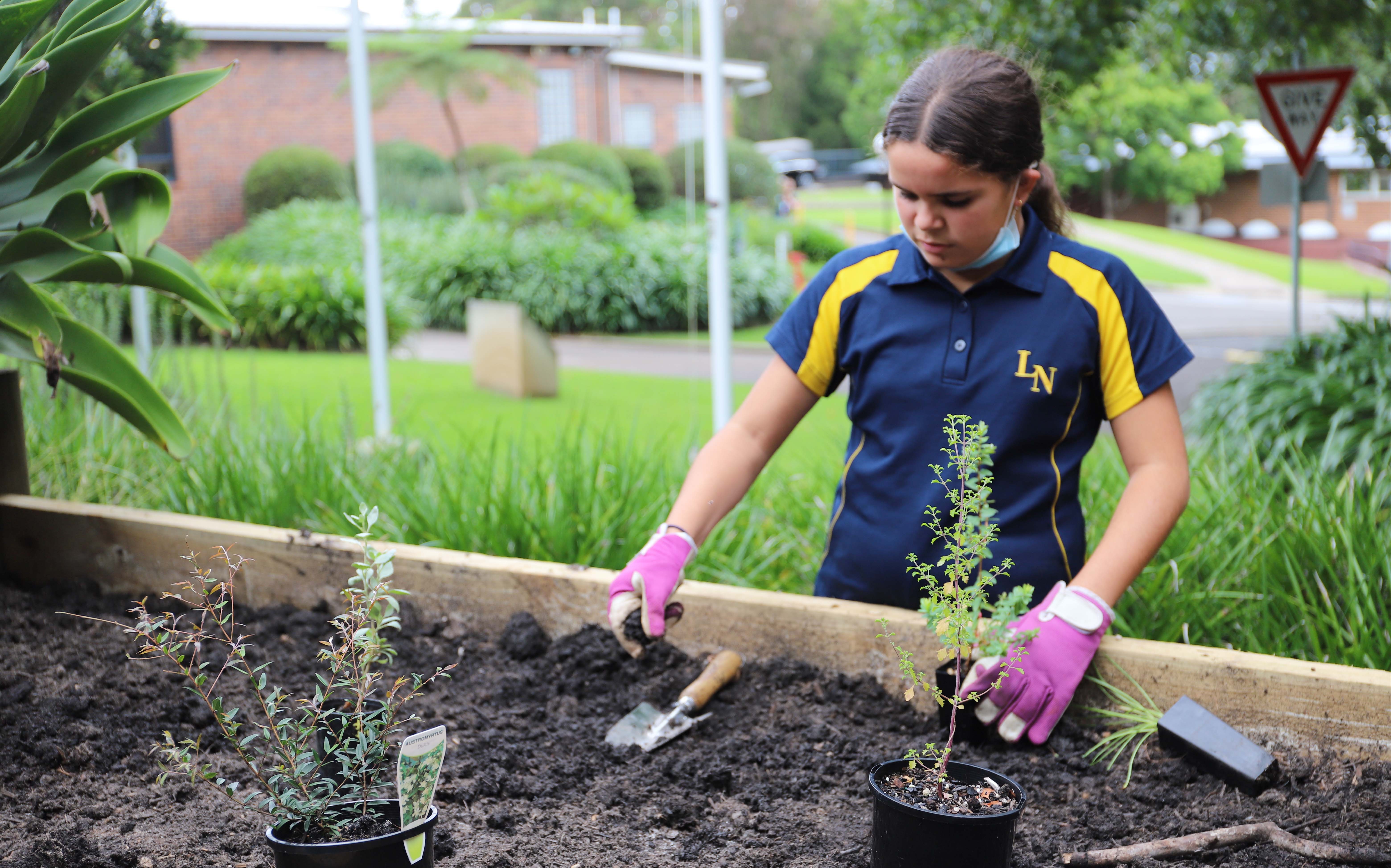 Loreto Normanhurst student, Mahkita, tending to the Bush Tucker Garden